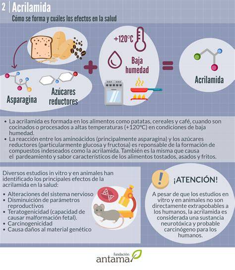 Infografía sobre la formación de acrilamida, benzopireno y aminas heterocíclicas al cocinar
