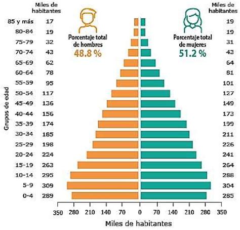 Gráfico de distribución por edades de los diagnósticos de celiaquía