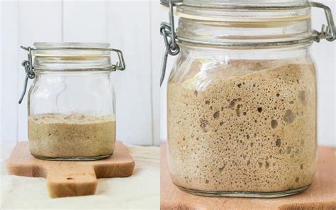 Cultivo de masa madre burbujeando