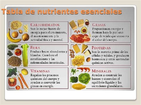 Espaguetis y sus nutrientes principales