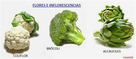 Inflorescencias comestibles