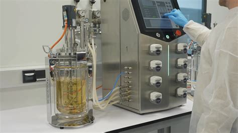 Biorreactor para fermentación continua y modelado de procesos