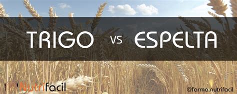 Infografía: Comparativa nutricional trigo vs espelta