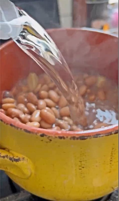 Vivi Abeja cocinando