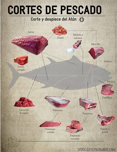 Esquema de los cortes del atún