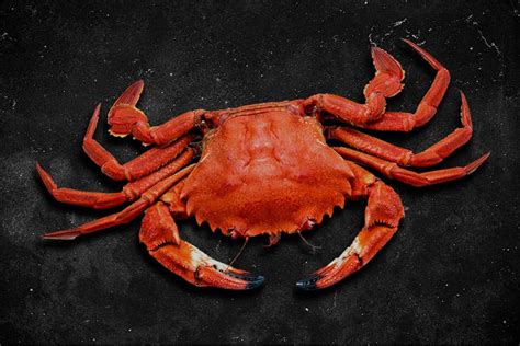 Nécoras frescas expuestas en una pescadería