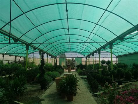 Malla de sombreo en invernadero de tomates