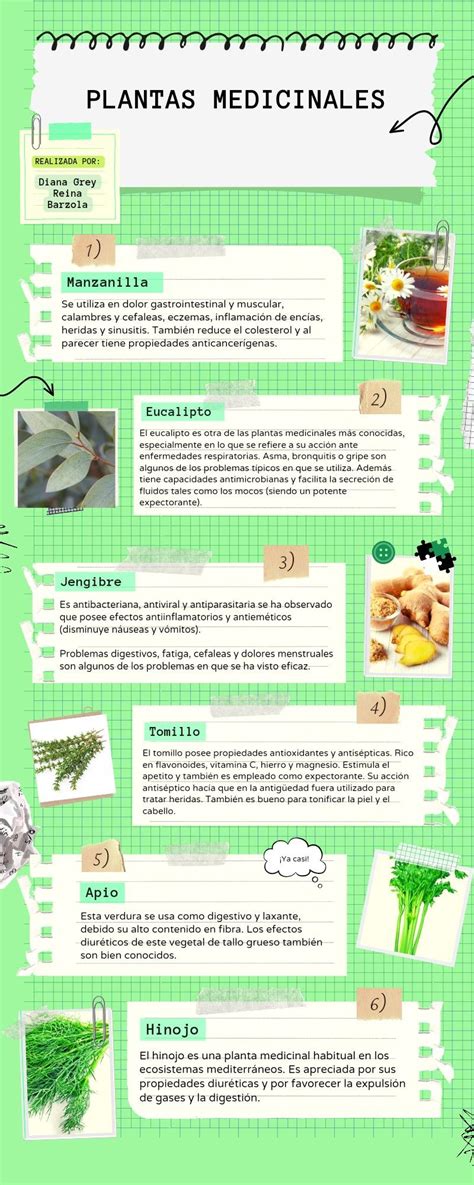 Infografía con los beneficios medicinales de la sopa de tortuga y astrágalo