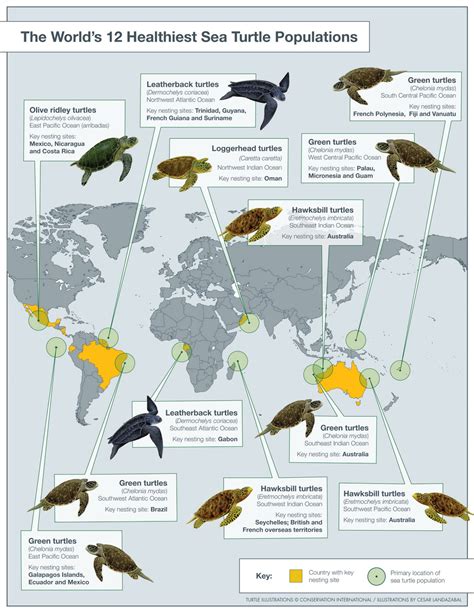 Mapa de distribución de especies de tortugas marinas amenazadas