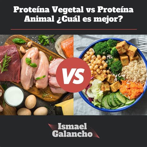 Comparativa de proteínas de origen animal y vegetal