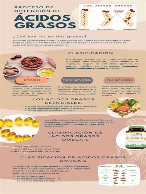 Infografía sobre la composición de ácidos grasos en el jamón ibérico comparado con otras grasas