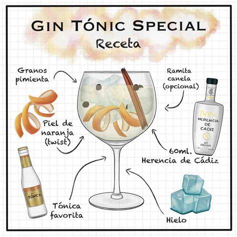 Ingredientes para un Gin Tonic