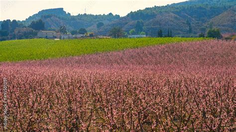 Paisaje histórico de la huerta de Cieza y sus antiguas fábricas
