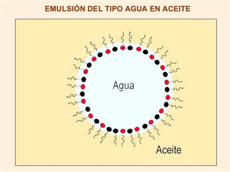 Esquema de la estructura de una emulsión de aceite en agua