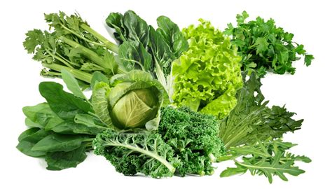 Verduras de hoja verde