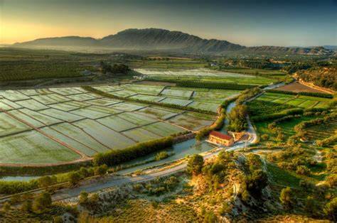 Paisaje de los arrozales de Calasparra