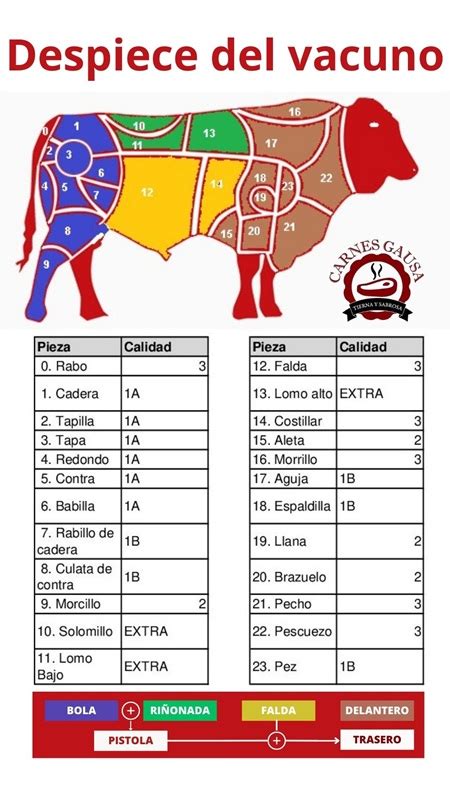 Esquema de las partes del despiece del vacuno