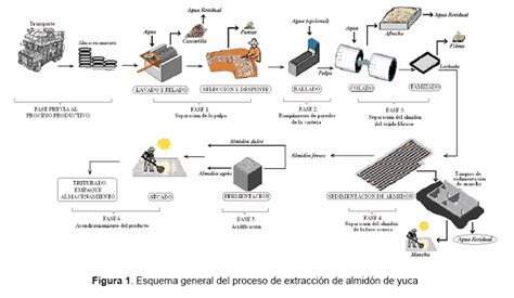 Esquema del proceso de extracción del almidón de trigo