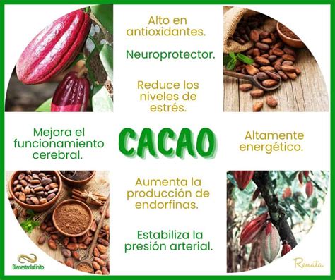 infografía sobre beneficios cardiovasculares del cacao