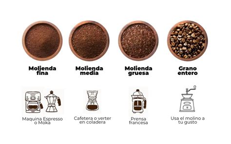 Esquema de molienda del grano de cereal y clasificación por tipos
