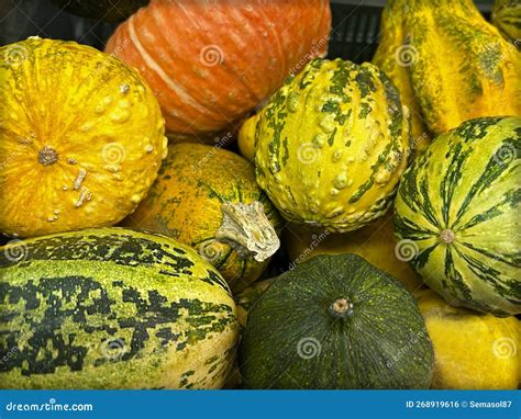 variedades de calabazas frescas en el mercado