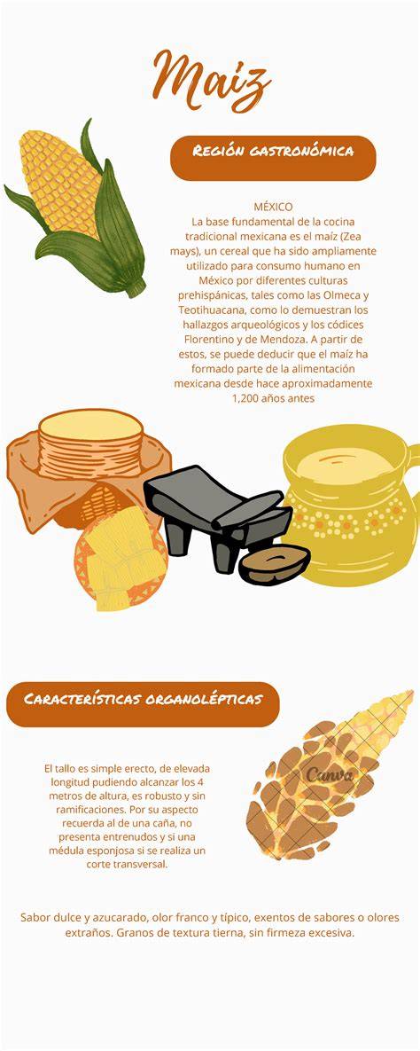 Esquema de los ingredientes principales (maíz y arroz)
