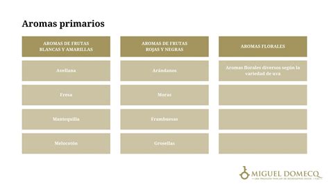 Espectro de aromas generados por la fermentación