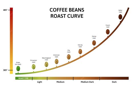 Ilustración de la curva de tueste del café mostrando cambios de temperatura y tiempo