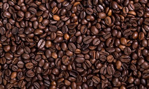 Diagrama que ilustra la proliferación de hongos en granos de café y la producción de micotoxinas