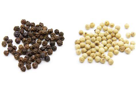 Ilustración de las diferentes bayas de pimienta: negra, blanca, verde y rosa.
