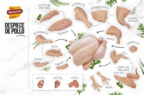 Despiece de un pollo con sus diferentes partes