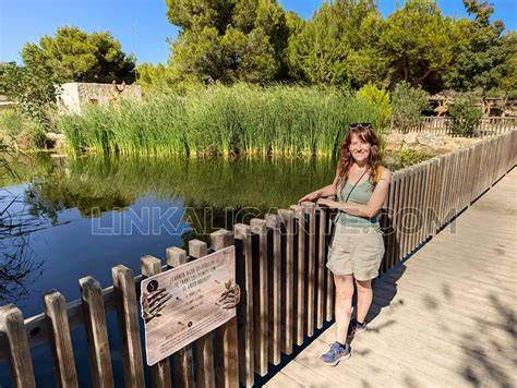 Mapa de ubicación del Parque El Recorral en Rojales, Alicante