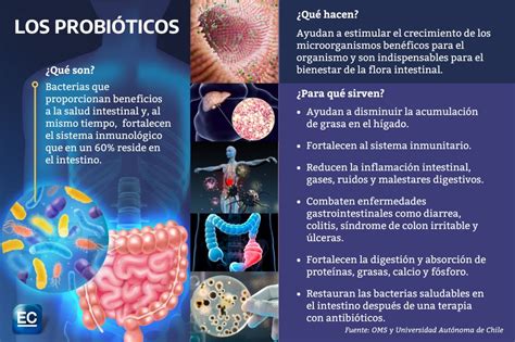 Infografía: Beneficios de los probióticos del yogur en el sistema digestivo