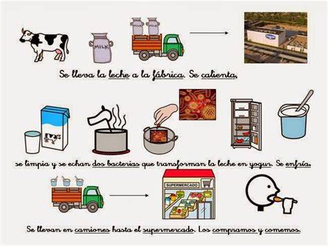 Proceso de fermentación de leche para obtener yogur casero