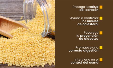 Esquema nutricional de los beneficios del mijo en la dieta