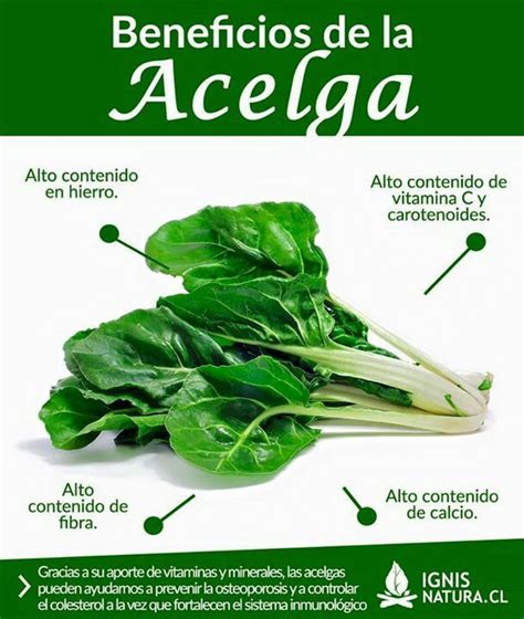 Beneficios nutricionales de la acelga