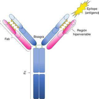 Esquema de un Fab Lab y sus componentes