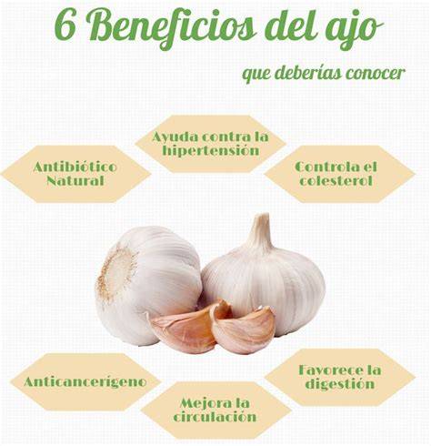 Propiedades saludables del ajo