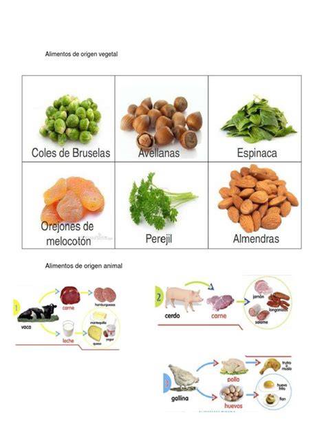 Cuajos de origen animal, vegetal y microbiano