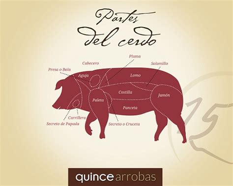 Corte de carne de aguja de cerdo en el despiece del animal