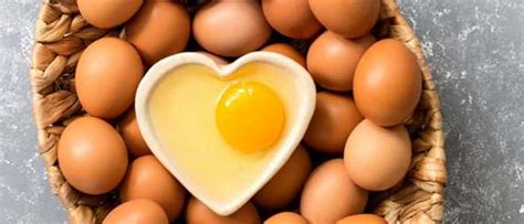 El huevo como fuente de proteínas y nutrientes