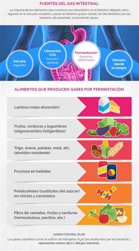 Infografía de alimentos que producen gases
