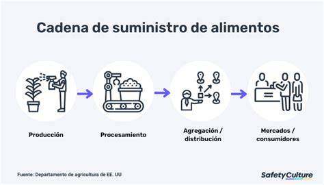 Esquema de la cadena de suministro de alimentos y su impacto en la diversidad