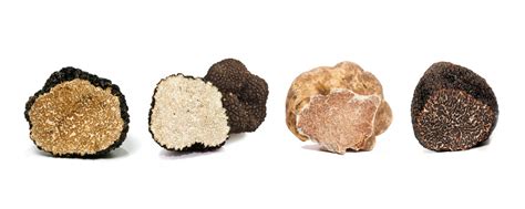 Diferentes tipos de trufas con sus características