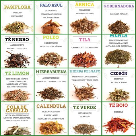 Variedad de tés de hierbas y especias digestivas