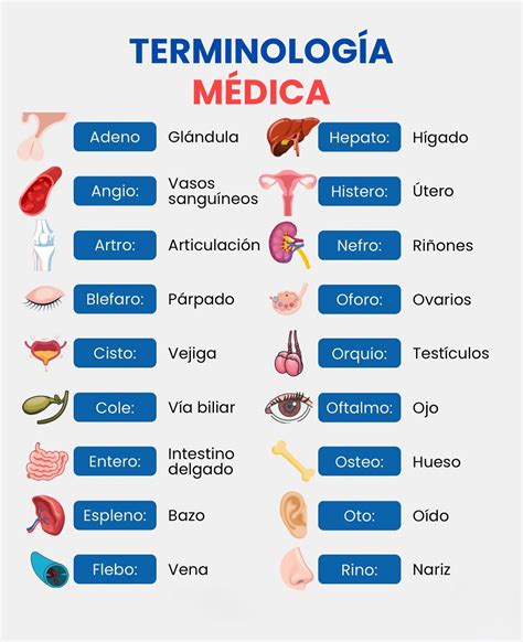 Esquema visual de la Terminología Basada en Marcos, mostrando la interconexión de conceptos dentro de un dominio especializado.