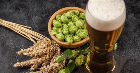 Ingredientes naturales de la cerveza