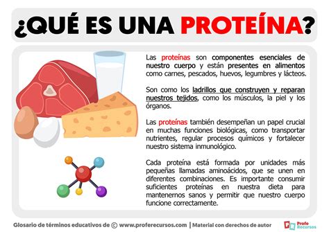 Esquema de los beneficios de la proteína en el cuerpo