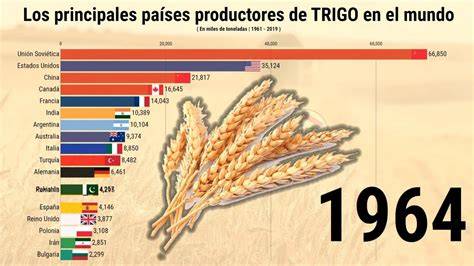 Mapa de los principales países productores de trigo
