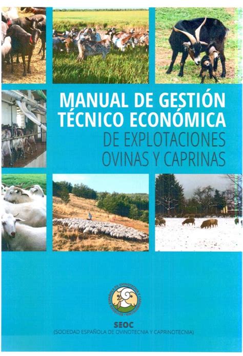 Infografía: Beneficios clave de la gestión técnico-económica en explotaciones ovinas